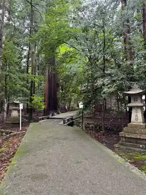 若狭彦神社（上社）(福井県)
