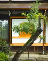 善徳寺(栃木県)