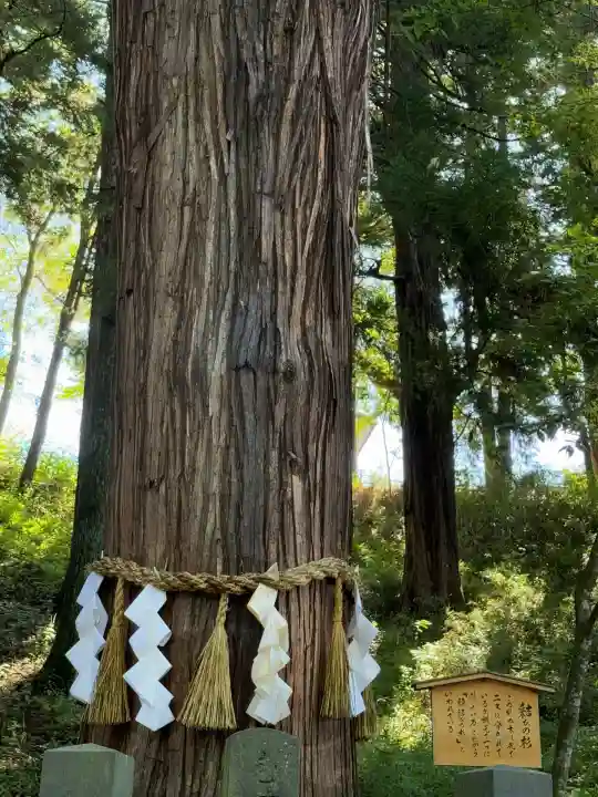 諏訪大社下社春宮(長野県)