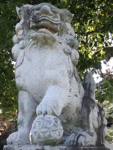 白山神社（二子町）の狛犬