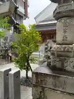 喜多神社(北町大神宮)の{uncategorized: "未分類", other: "その他", undefined: "問題あり", building: "その他建物", grave: "お墓", sacred_gate: "鳥居", guardian: "狛犬", statue: "像", buddha: "仏像", history: "歴史", nature: "自然", garden: "庭園", animal: "動物", pagoda: "塔", temizu: "手水舎", mountain_gate: "山門・神門", sanctuary: "本殿・本堂", subordinate: "末社・摂社", art: "芸術", scenery: "景色", jizo: "地蔵", ema: "絵馬", goshuin: "御朱印", omikuji: "おみくじ", items: "授与品その他", amulet: "お守り", goshuincho: "御朱印帳", eats: "食事", festival: "お祭り", votive_dance: "神楽", shichigosan: "七五三参", wedding: "結婚式", experience: "体験その他", initially: "初詣", around: "周辺", anti_infection: "感染症対策"}