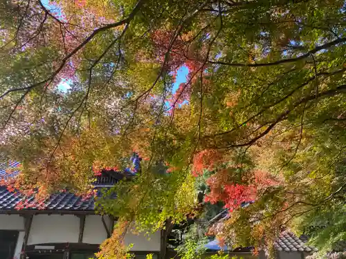高山寺(兵庫県)