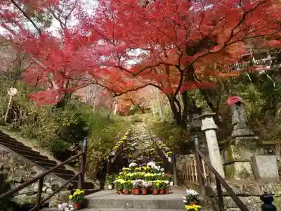 長谷寺(奈良県)