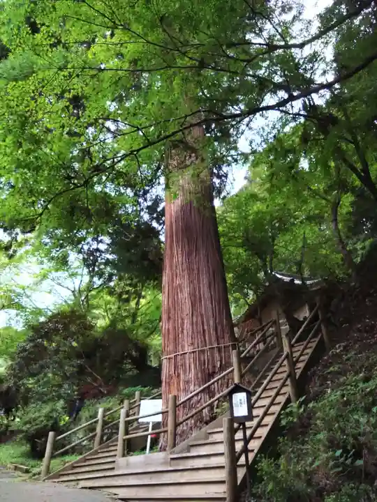 八女津媛神社(福岡県)
