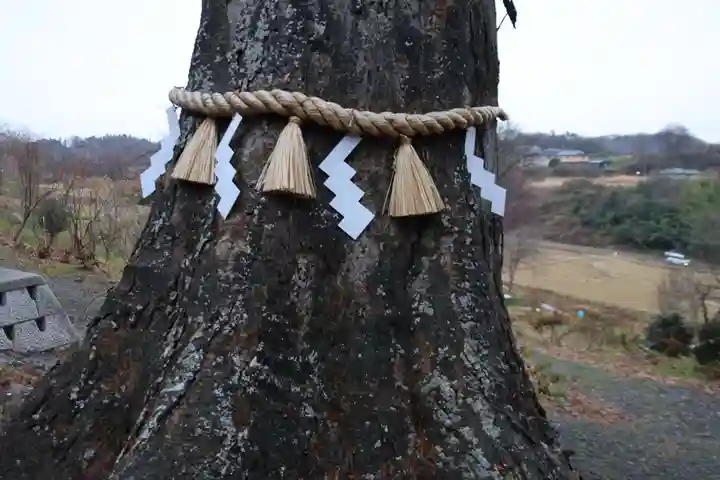阿久津「田村神社」(郡山市阿久津町)旧社名:伊豆箱根三嶋三社の自然