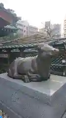 湯島天満宮の狛犬