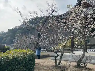 大山寺(広島県)