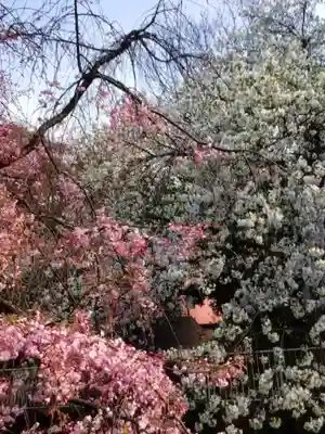 下高井戸八幡神社(東京都)