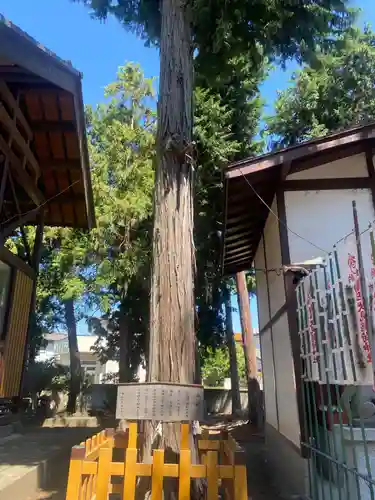 駒形神社(群馬県)