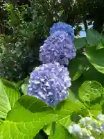 大久保山 自性院(神奈川県)