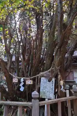 幣立神宮(熊本県)