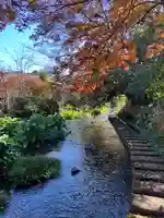 三嶋大社(静岡県)