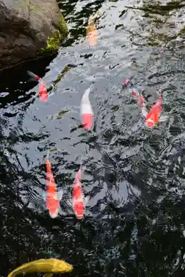 建部大社(滋賀県)