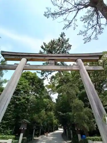 寒川神社の鳥居