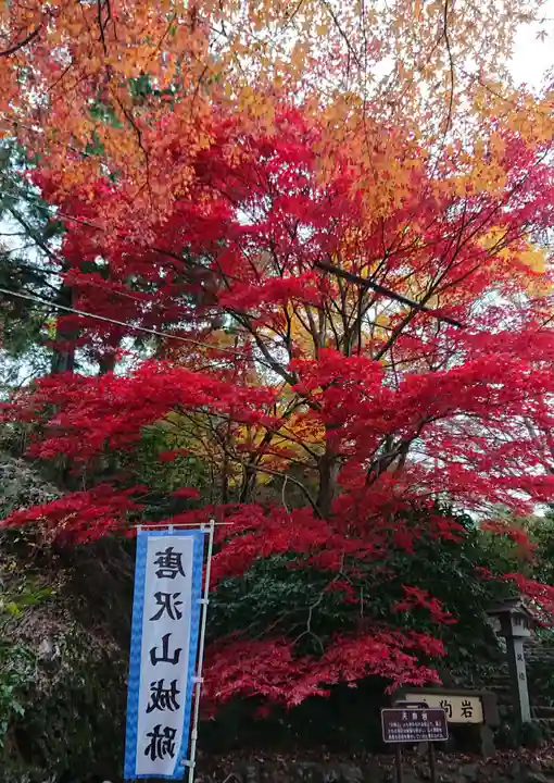 唐澤山神社の自然