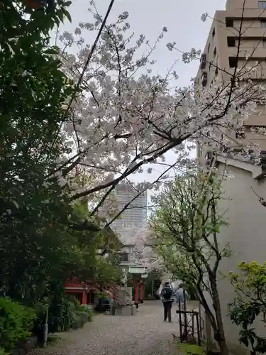 秋葉神社(東京都)