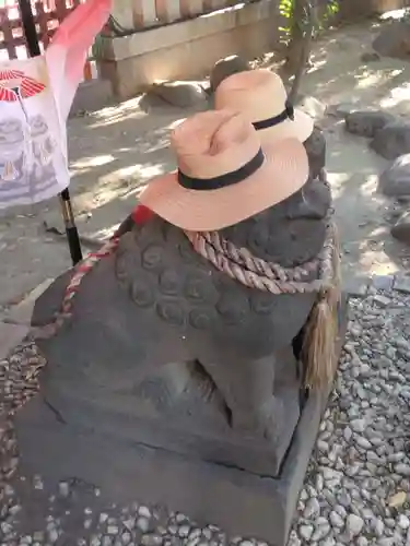 浅草神社の狛犬