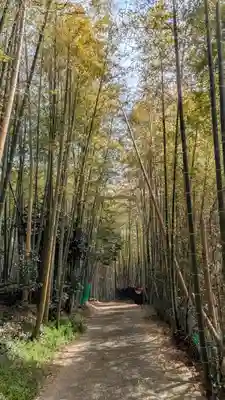 稲荷神社(灰方鎮座)(京都府)