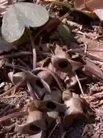 十二山神社(群馬県)