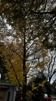 鳩森八幡神社(東京都)