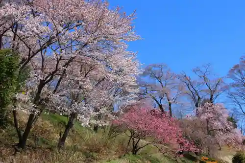 高屋敷稲荷神社の景色