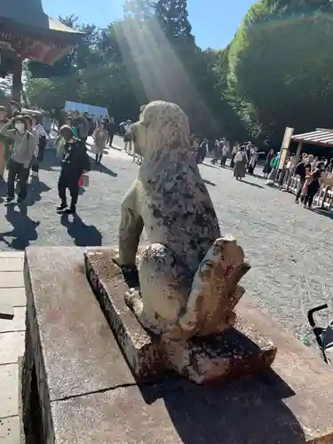 鶴岡八幡宮の狛犬