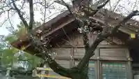 小垣江神明神社のその他建物