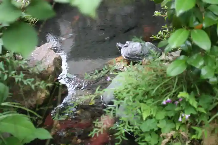 宝蔵寺(京都府)