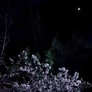 伊勢の国 四天王寺(三重県)(2026年03月26日(木) 12時03分11秒投稿)