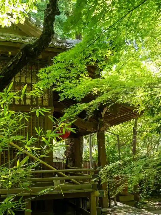四合稲荷神社の{uncategorized: "未分類", other: "その他", undefined: "問題あり", building: "その他建物", grave: "お墓", sacred_gate: "鳥居", guardian: "狛犬", statue: "像", buddha: "仏像", history: "歴史", nature: "自然", garden: "庭園", animal: "動物", pagoda: "塔", temizu: "手水舎", mountain_gate: "山門・神門", sanctuary: "本殿・本堂", subordinate: "末社・摂社", art: "芸術", scenery: "景色", jizo: "地蔵", ema: "絵馬", goshuin: "御朱印", omikuji: "おみくじ", items: "授与品その他", amulet: "お守り", goshuincho: "御朱印帳", eats: "食事", festival: "お祭り", votive_dance: "神楽", shichigosan: "七五三参", wedding: "結婚式", experience: "体験その他", initially: "初詣", around: "周辺", anti_infection: "感染症対策"}