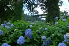 白山中居神社(岐阜県)