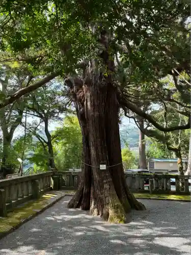 伊豆山神社(静岡県)
