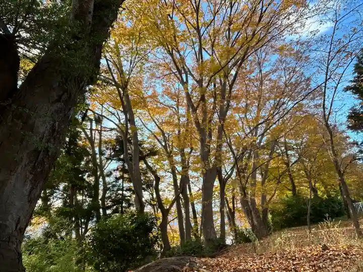 勢伊多賀神社(長野県)