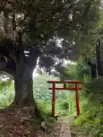 日枝神社(千葉県)