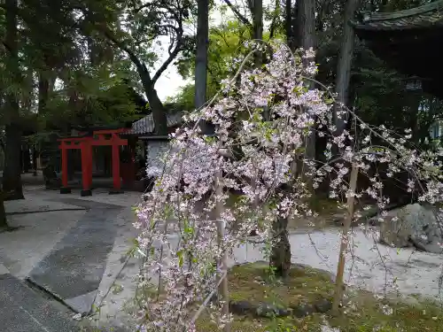 岡崎神社の庭園