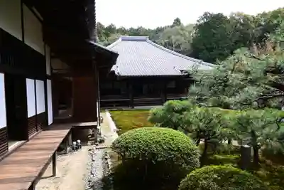 隨心院(随心院)(京都府)