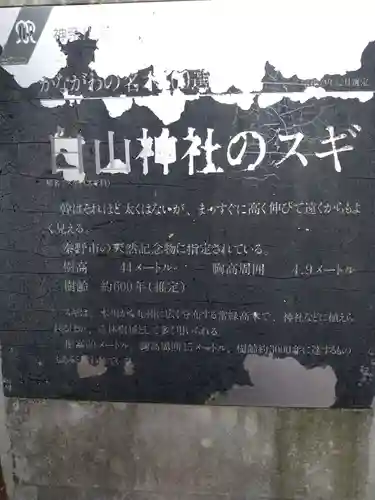 白山神社(神奈川県)