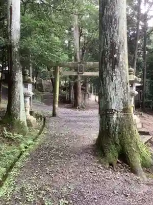 諏訪神社(岐阜県)