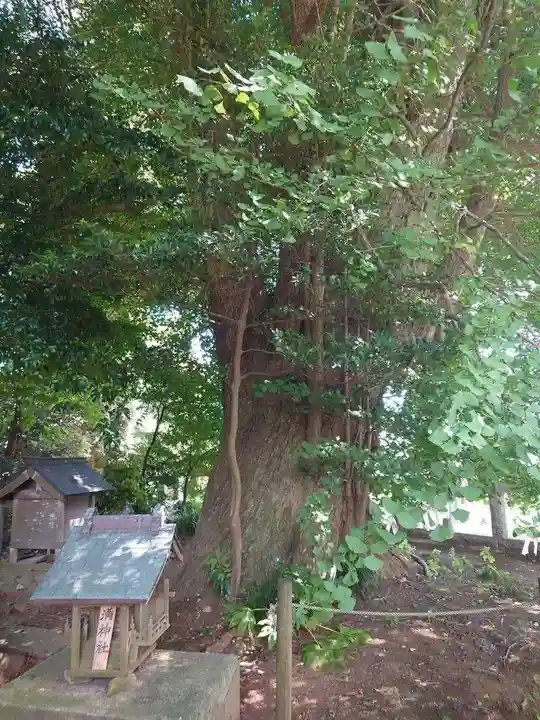 鹿嶋神社(茨城県)