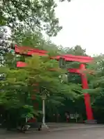 冠稲荷神社の鳥居