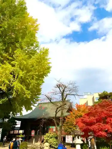 飛騨国分寺の景色