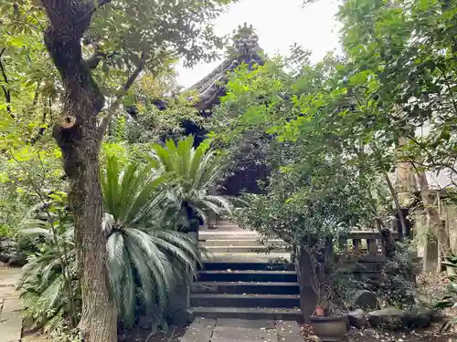 竜谷寺(東京都)