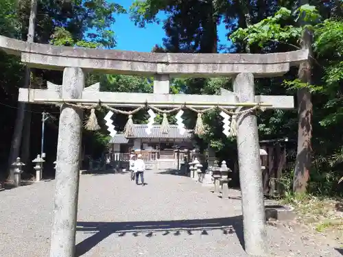 伊邪那岐神社の鳥居