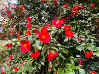 守りの神 藤基神社(新潟県)