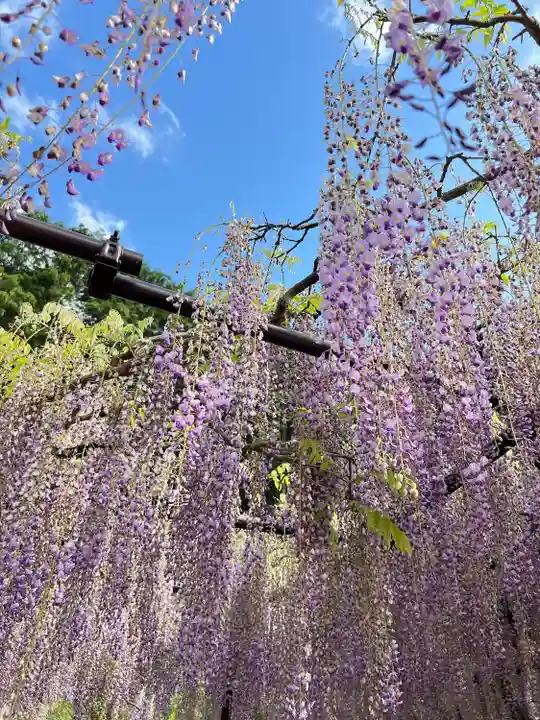 天台宗 五大山 白毫寺(兵庫県)