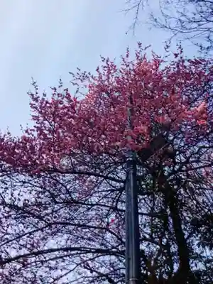 代々木八幡宮(東京都)