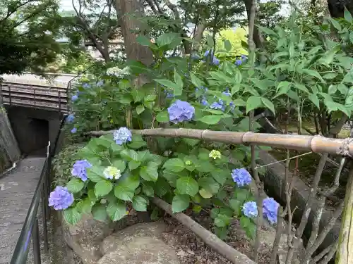 頼光寺(兵庫県)