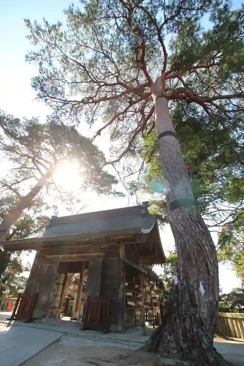唐澤山神社(栃木県)
