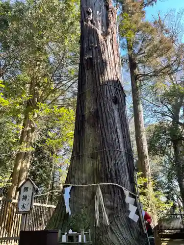 一言主神社の自然