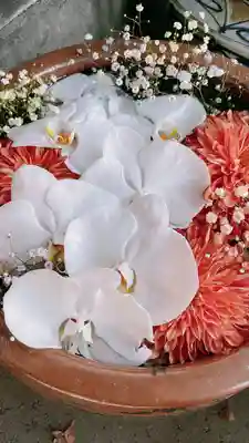 多賀神社の手水舎